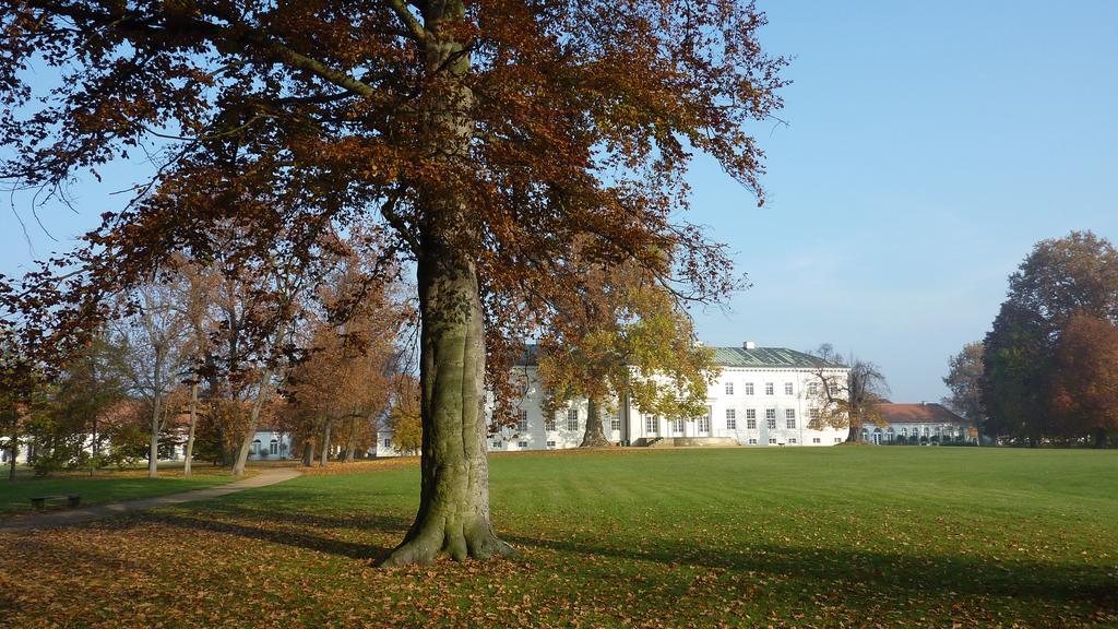 Hotel Schloss Neuhardenberg Exterior foto